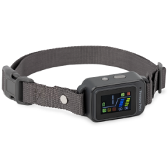 Bark Collar with Digital Display
